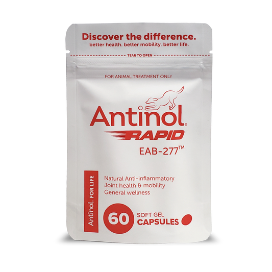 Antinol Rapid